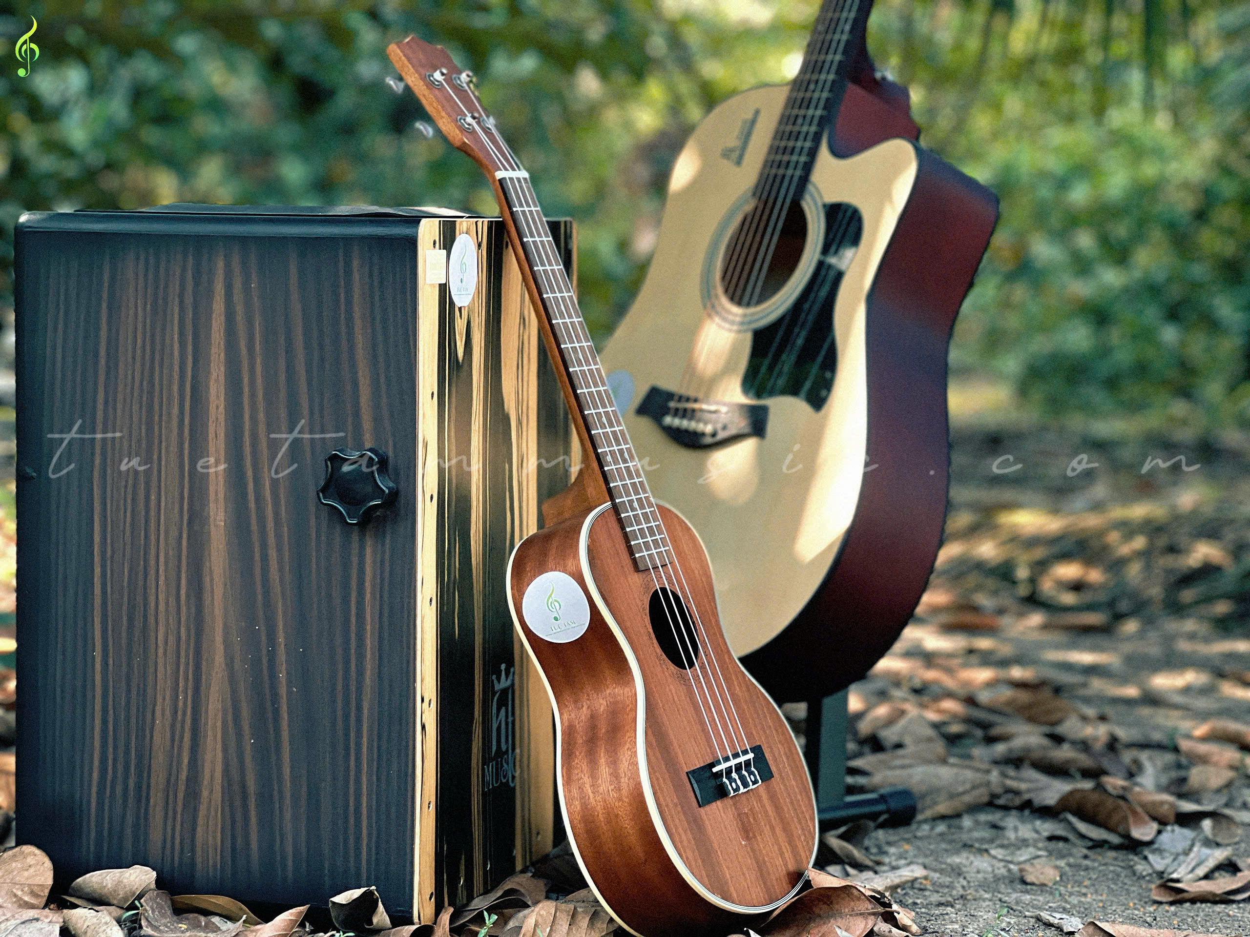 Guitar Acoustic HT-89