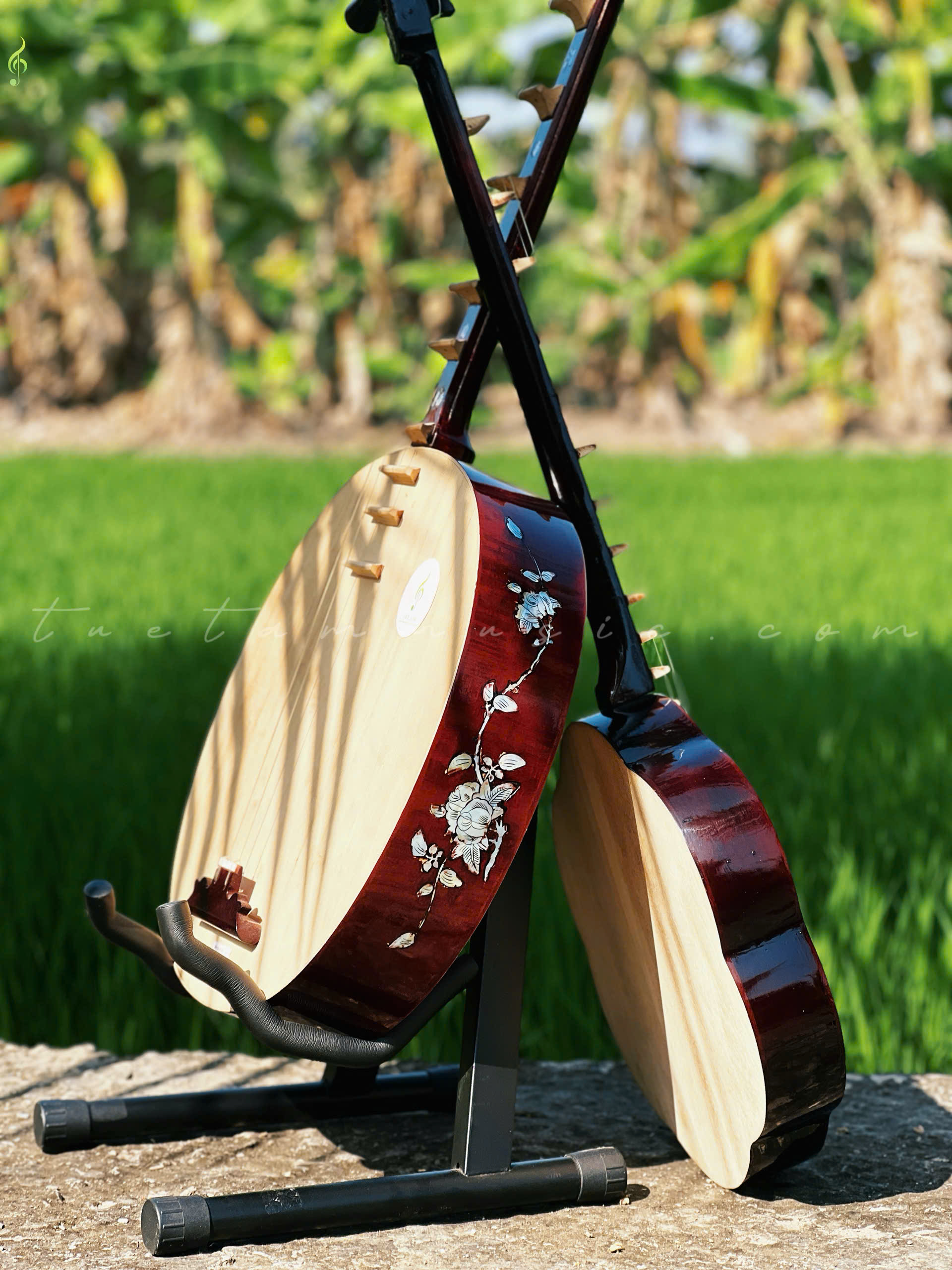 Đàn Nguyệt giá rẻ