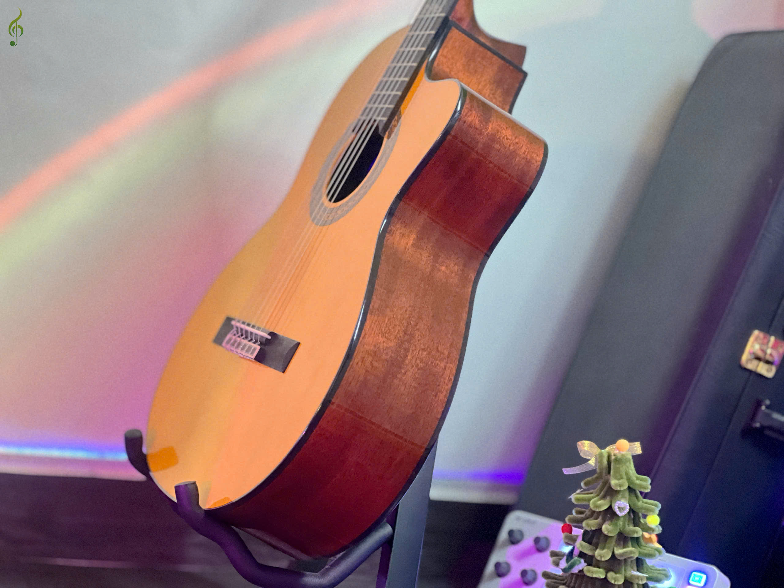 guitar dallas giá rẻ