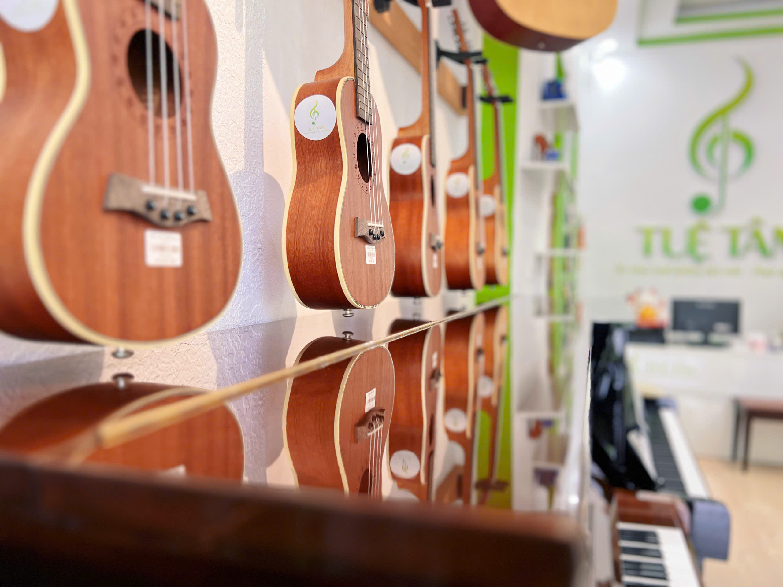 Đàn Ukulele Dallas