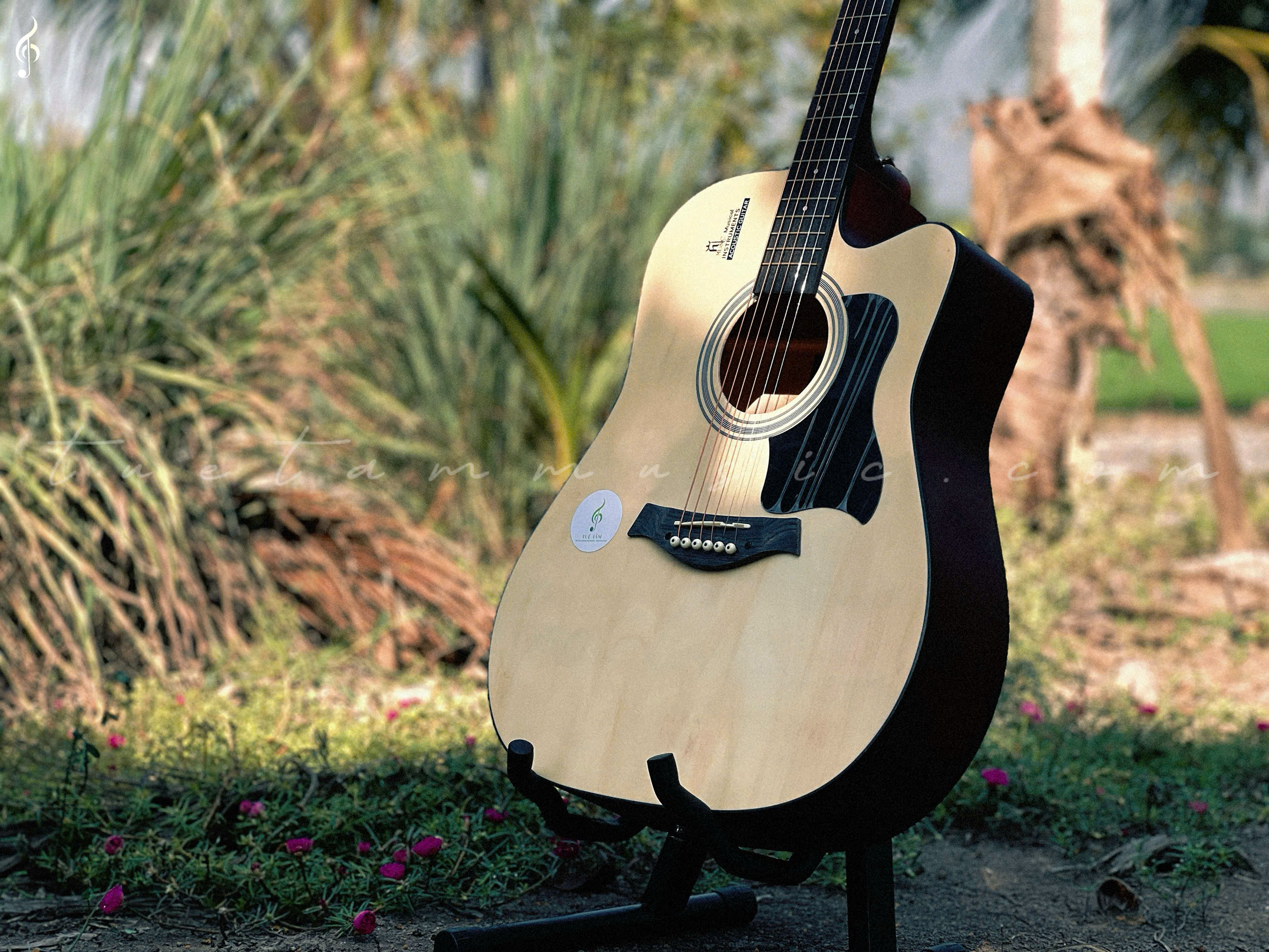 Guitar Acoustic HT-89