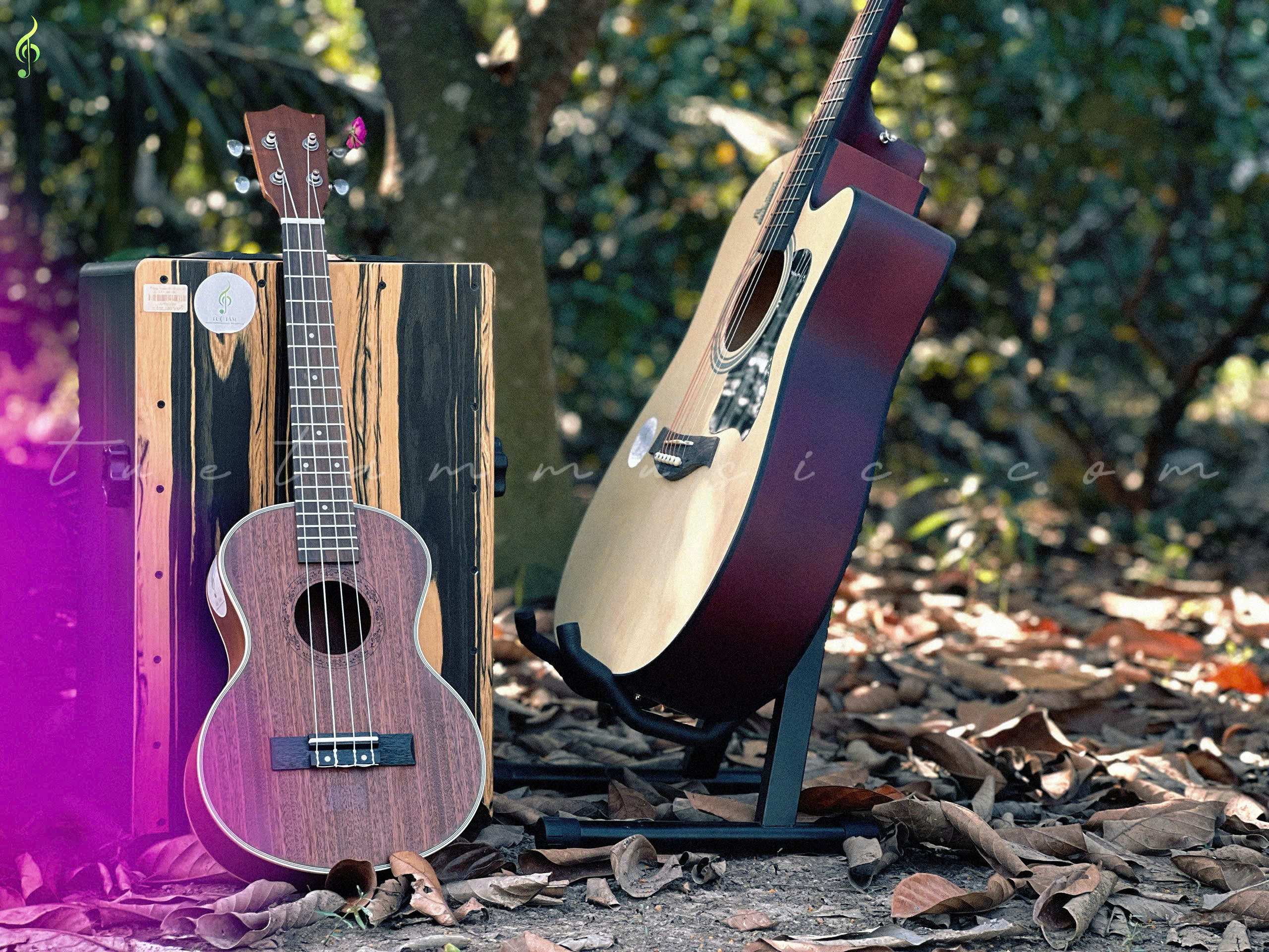 Guitar Acoustic HT-89