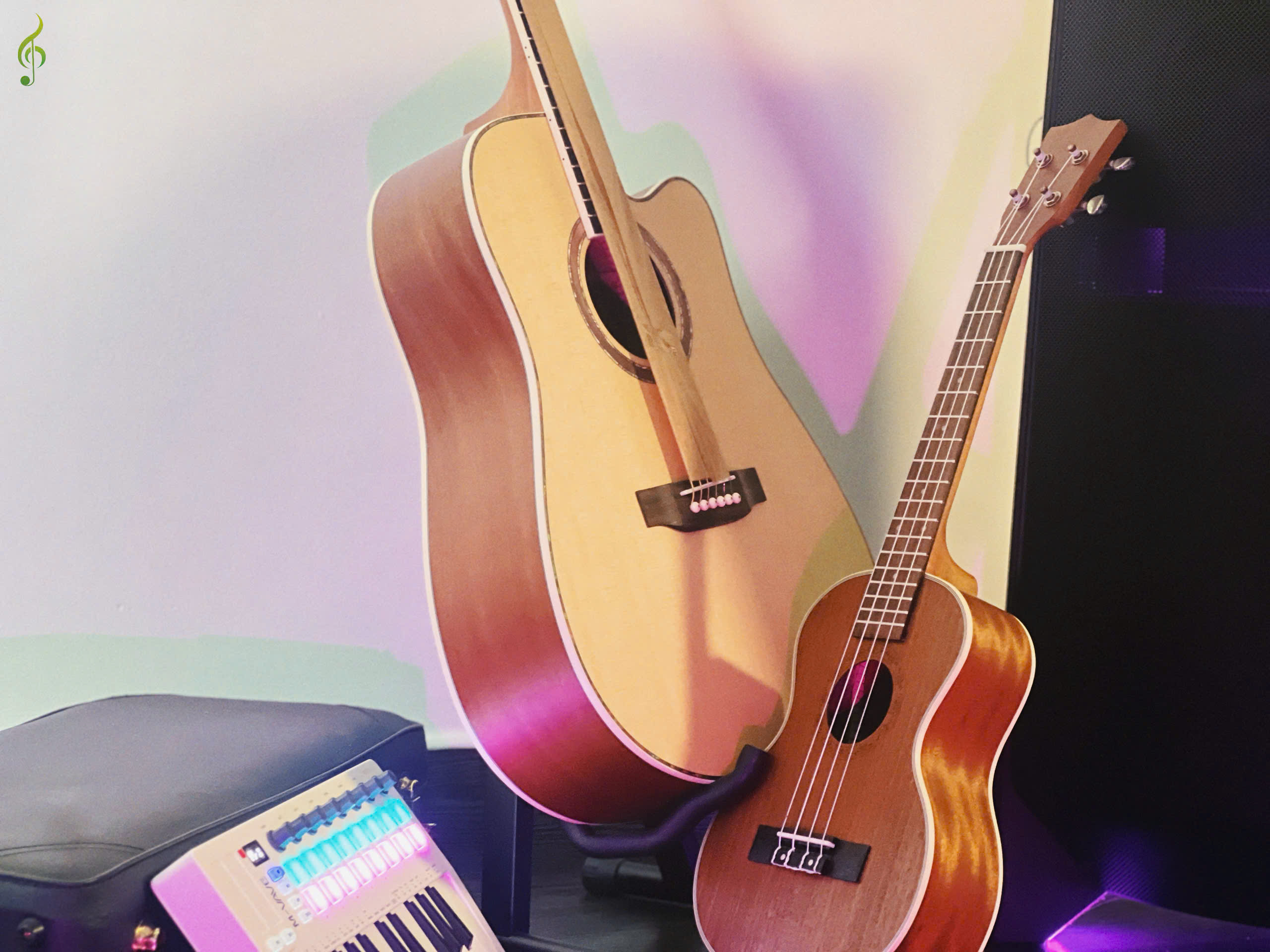 Guitar Saiger Acoustic