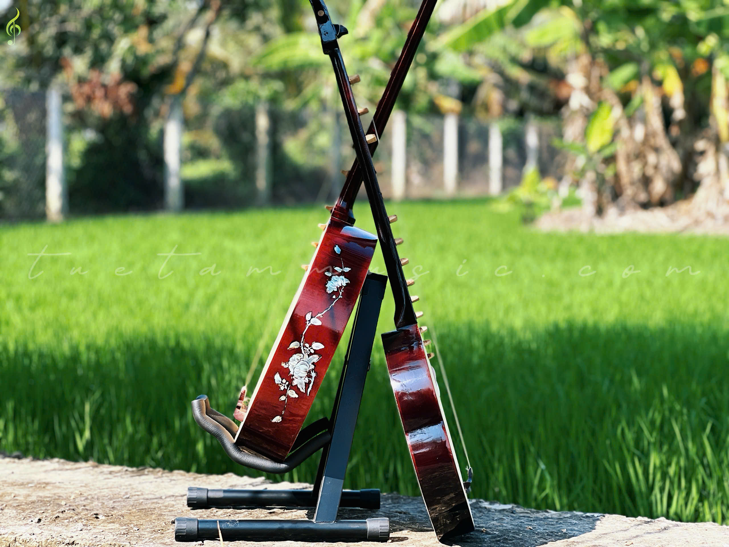 Nhạc cụ dân tộc tại Long An