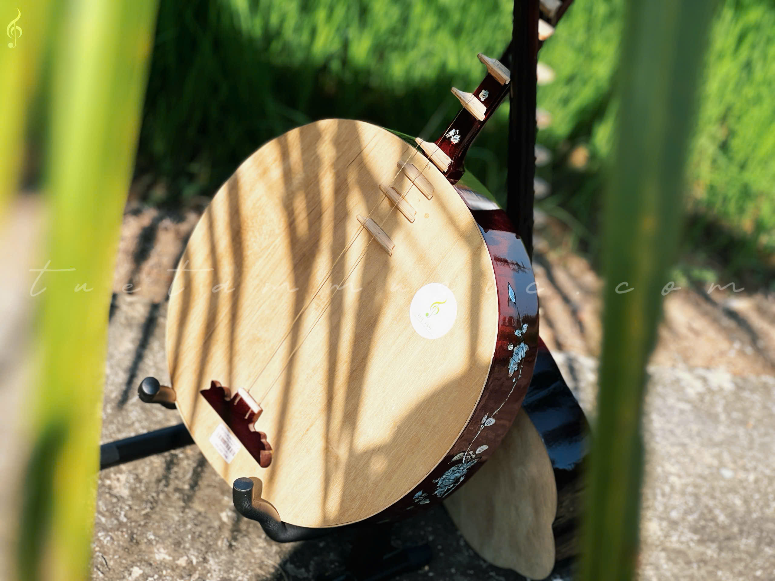 Trung-tam-am-nhac-tue-tam (14)