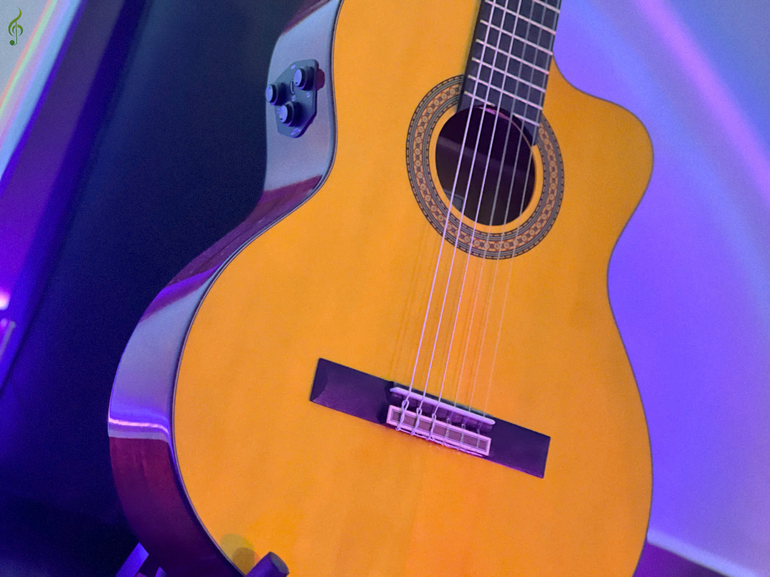 Guitar Dallas chính hãng