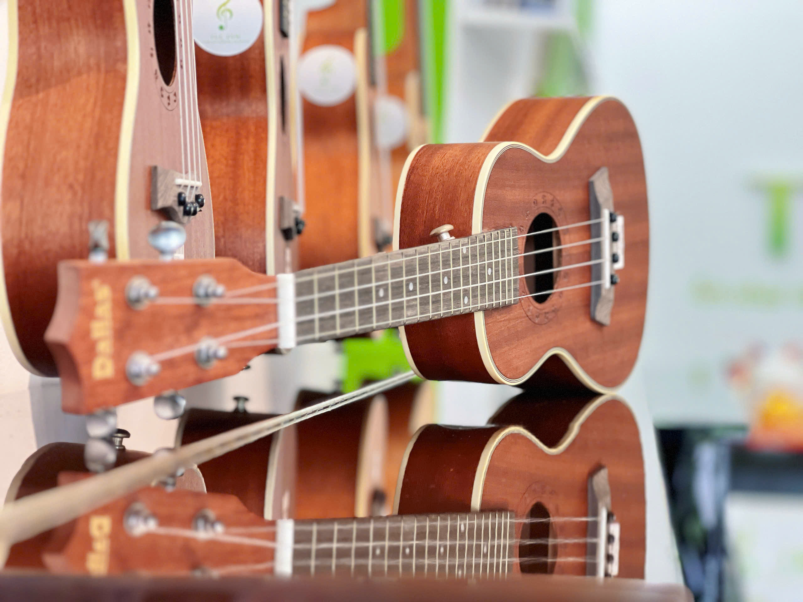 Đàn Ukulele Dallas