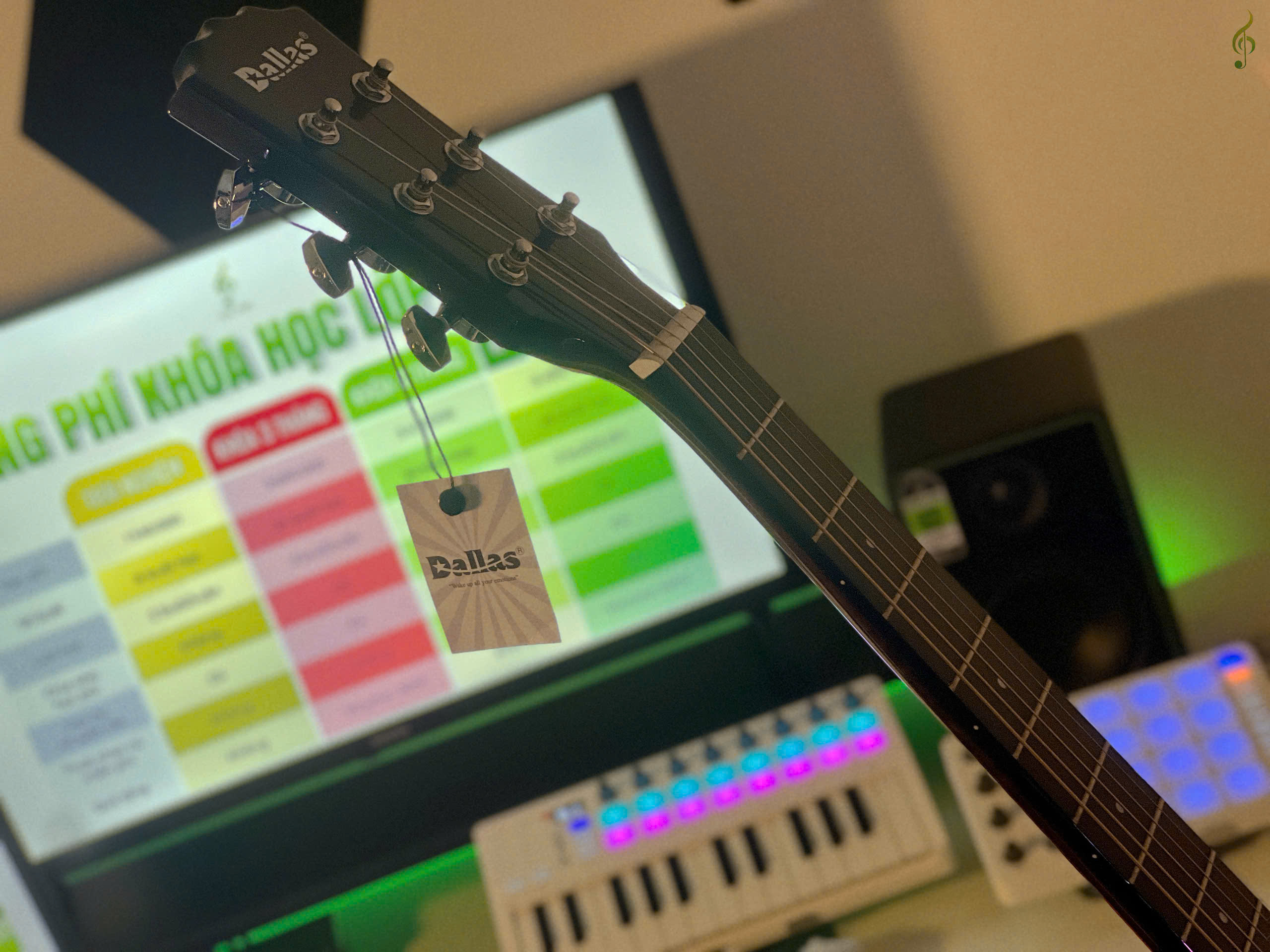 Guitar Dallas giá rẻ