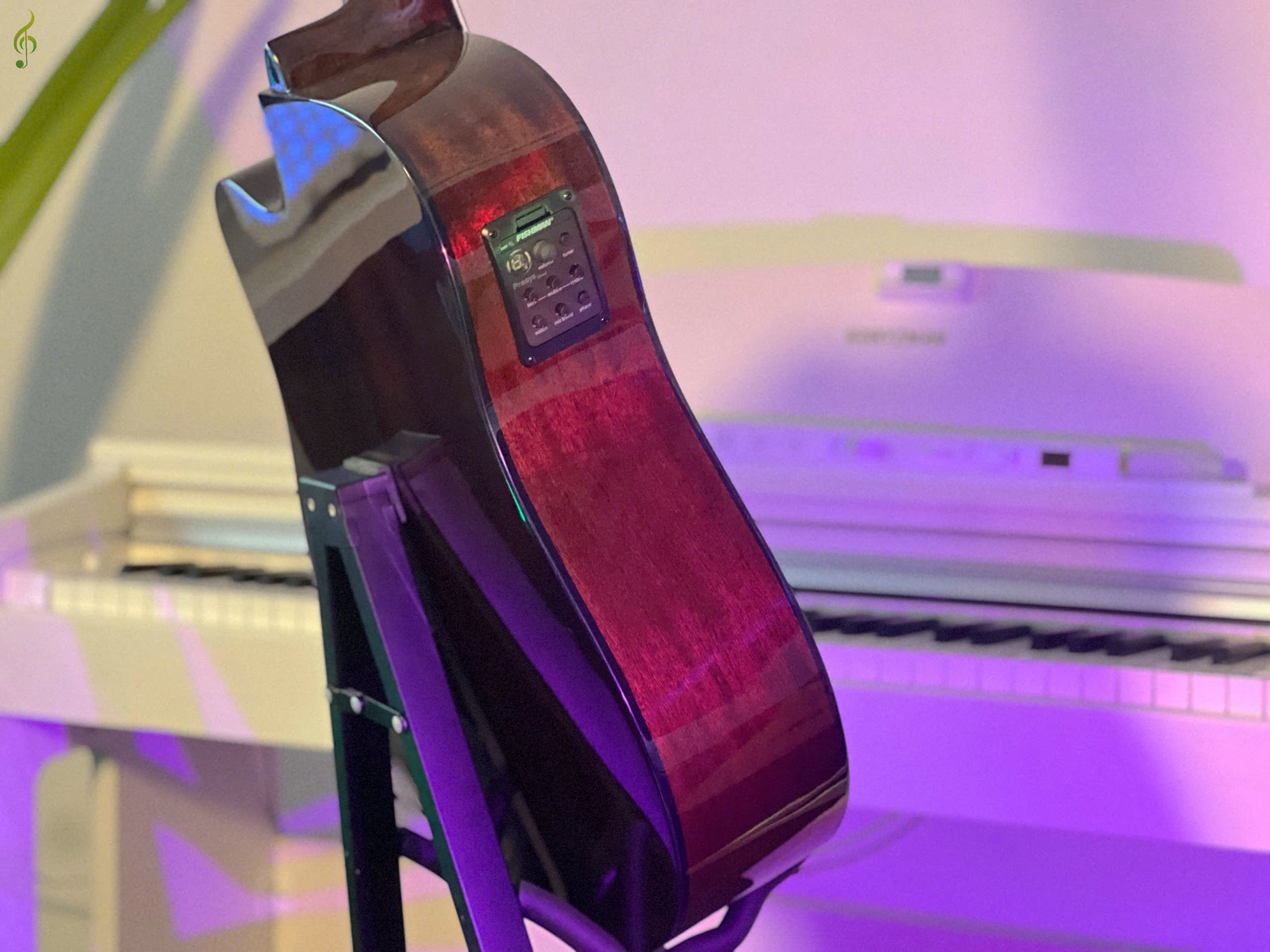 Guitar Dallas giá rẻ