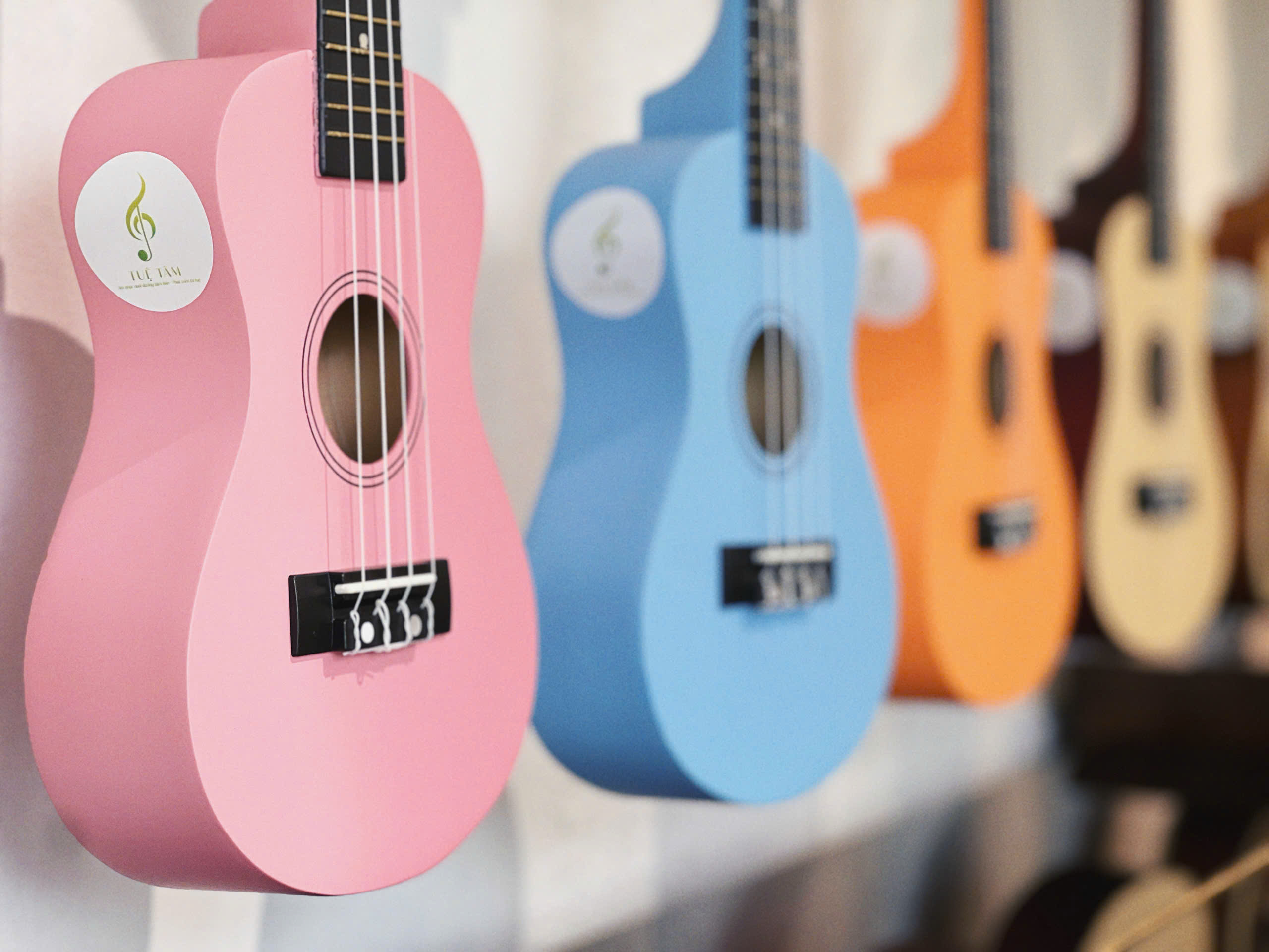 Trung-tam-am-nhac-tue-tam (6)