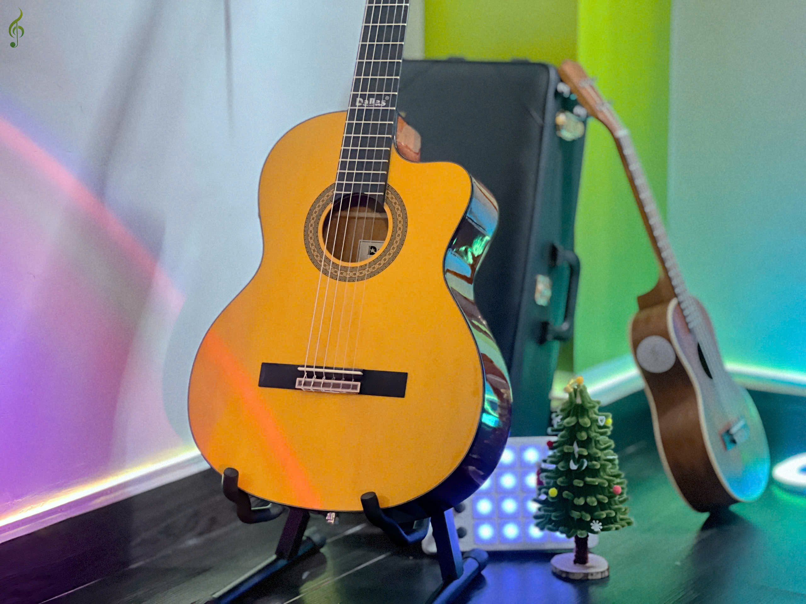 guitar dallas giá rẻ