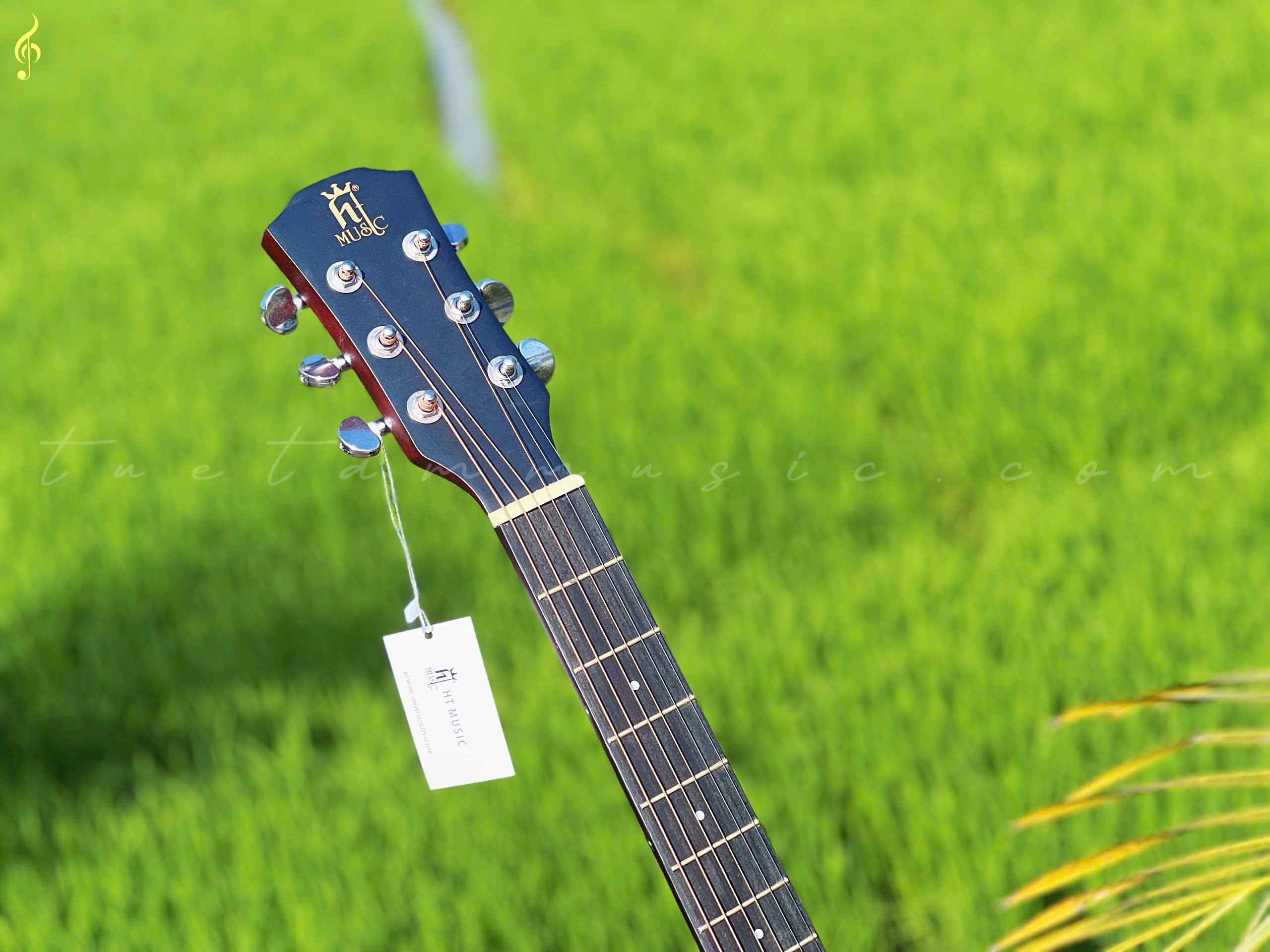 guitar giá rẻ tây ninh