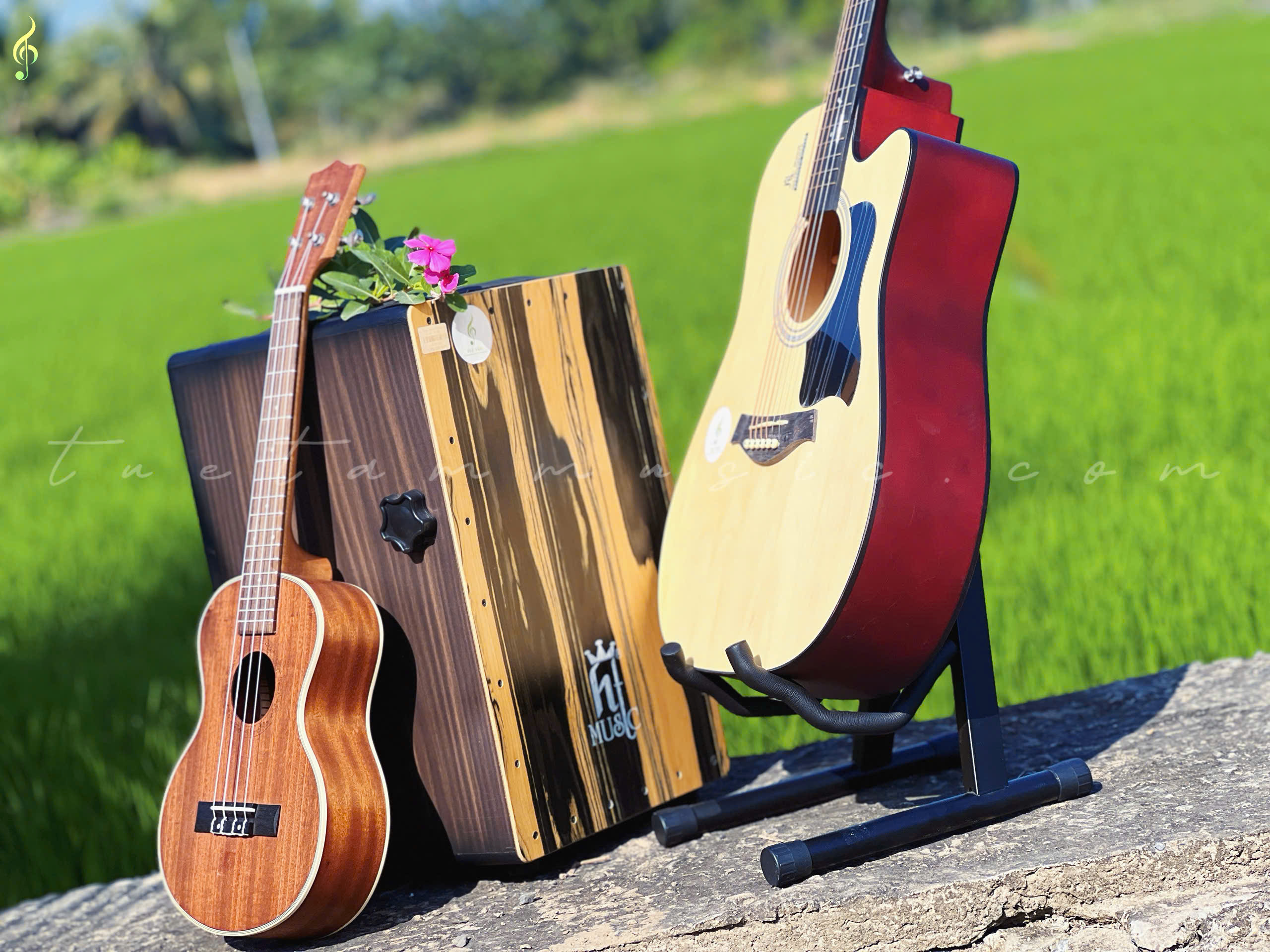 Guitar Acoustic HT-89