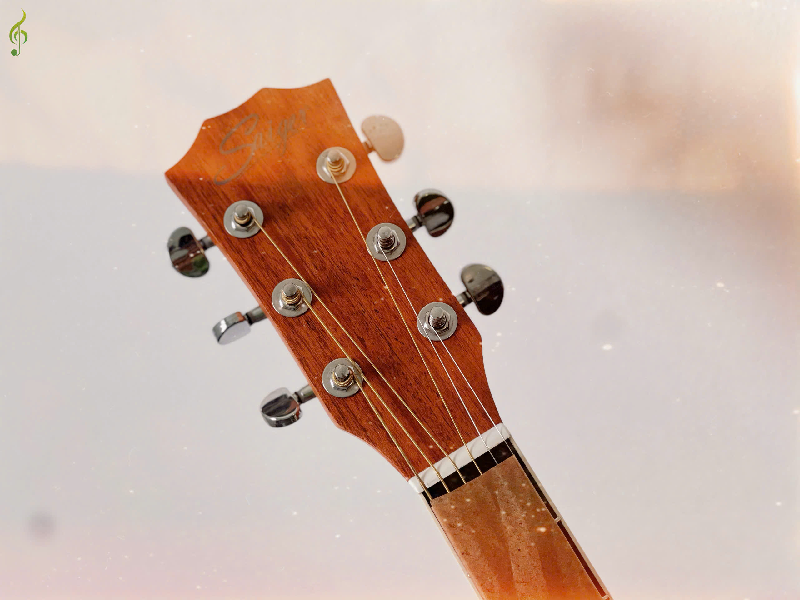 Guitar Saiger Acoustic