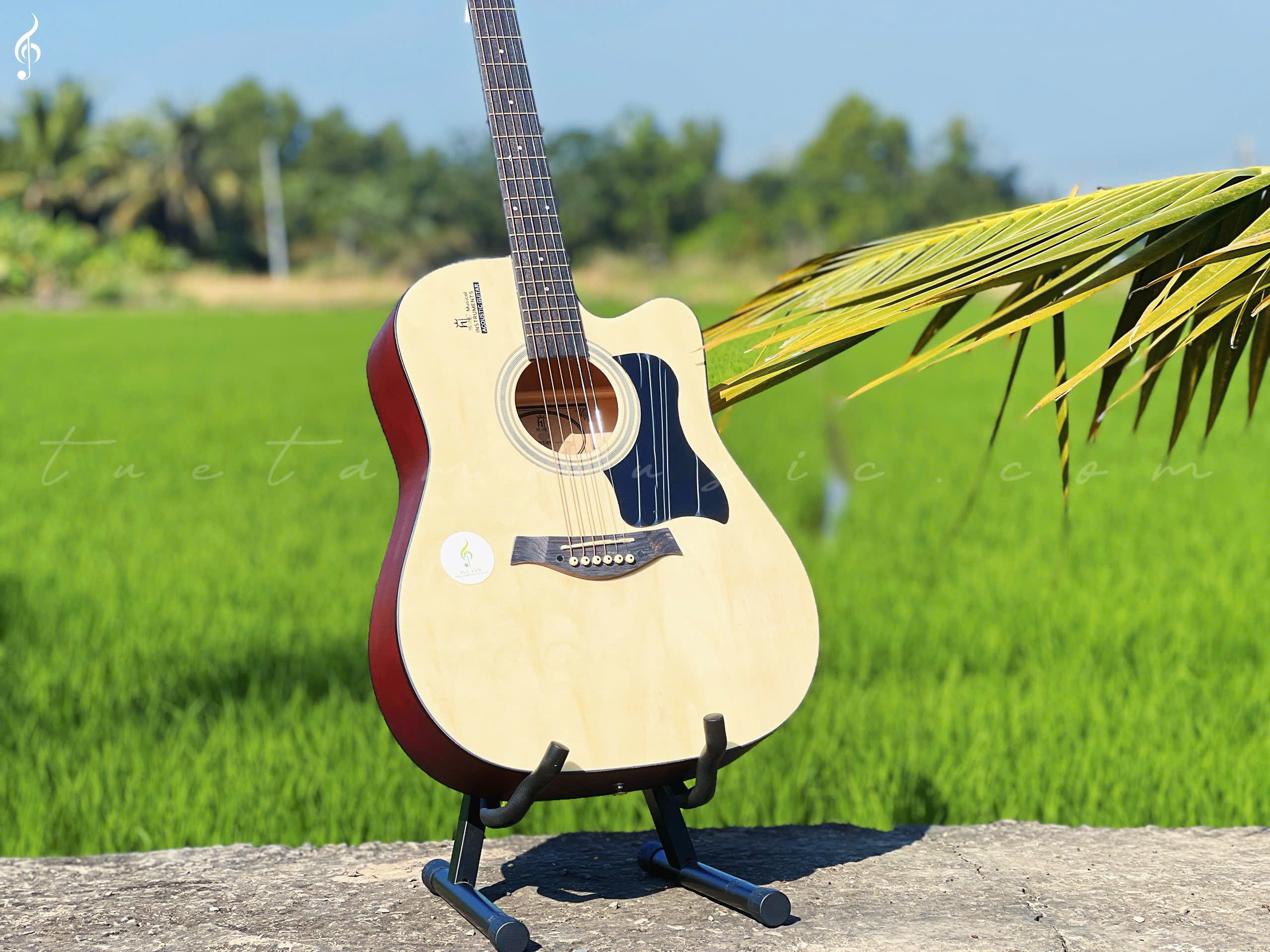 Guitar Acoustic HT-89