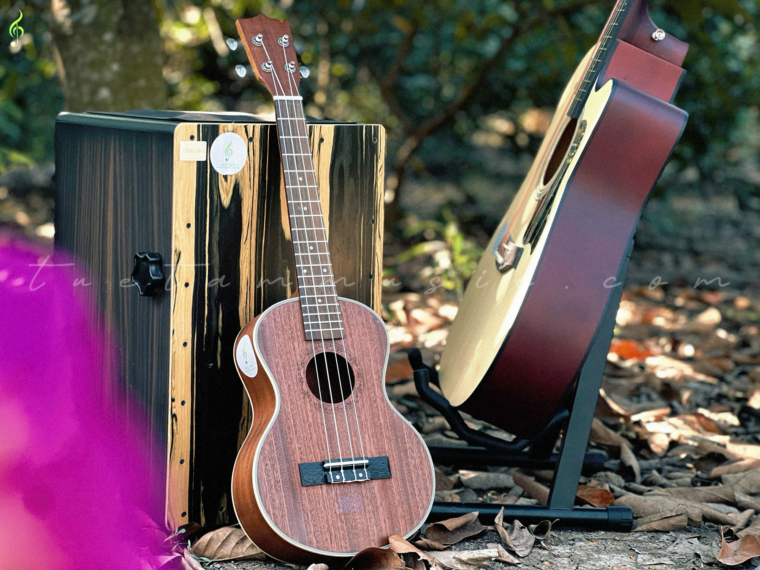 Đàn Guitar HT Music