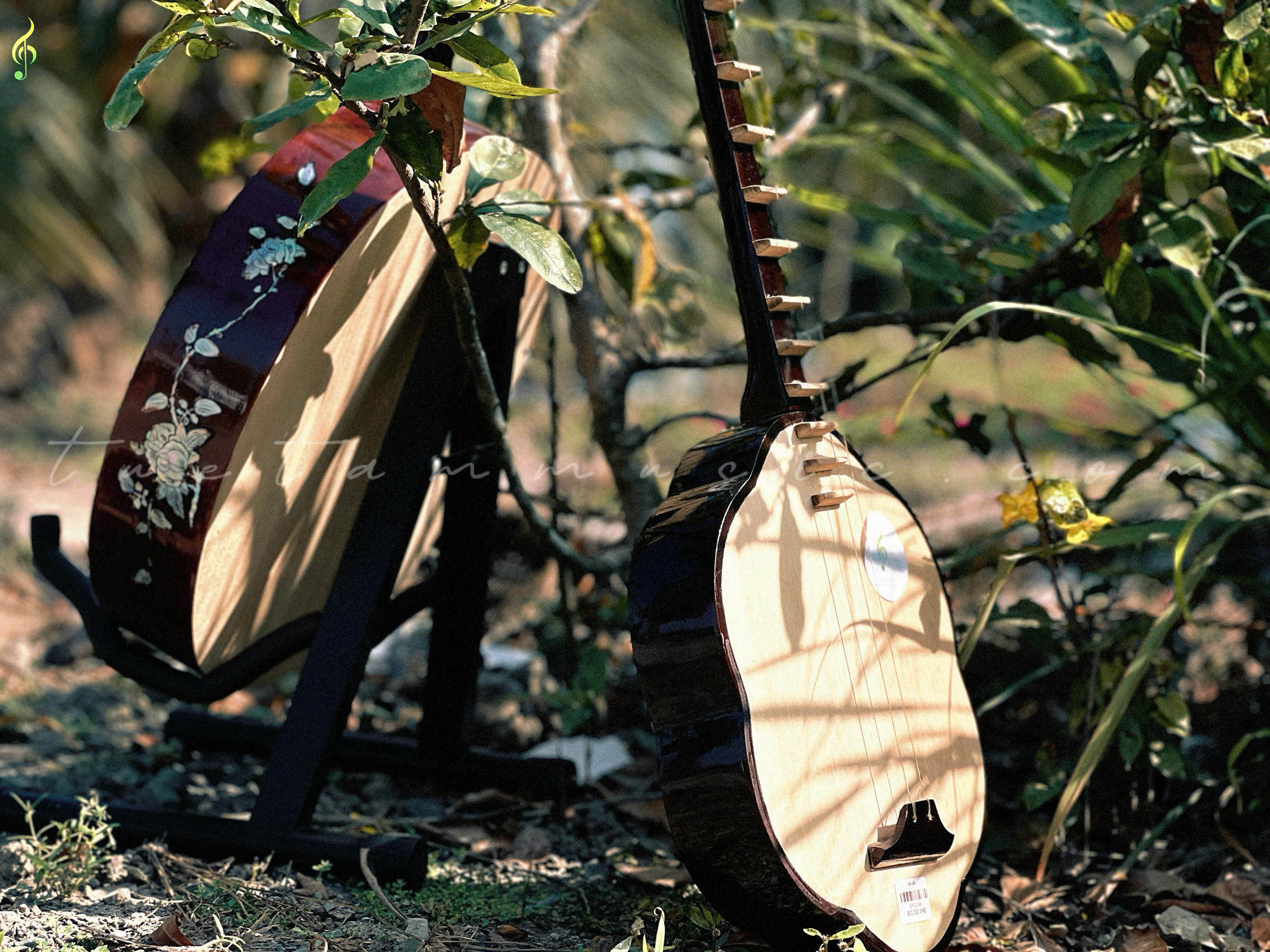 Nhạc cụ dân tộc tại Tây Ninh