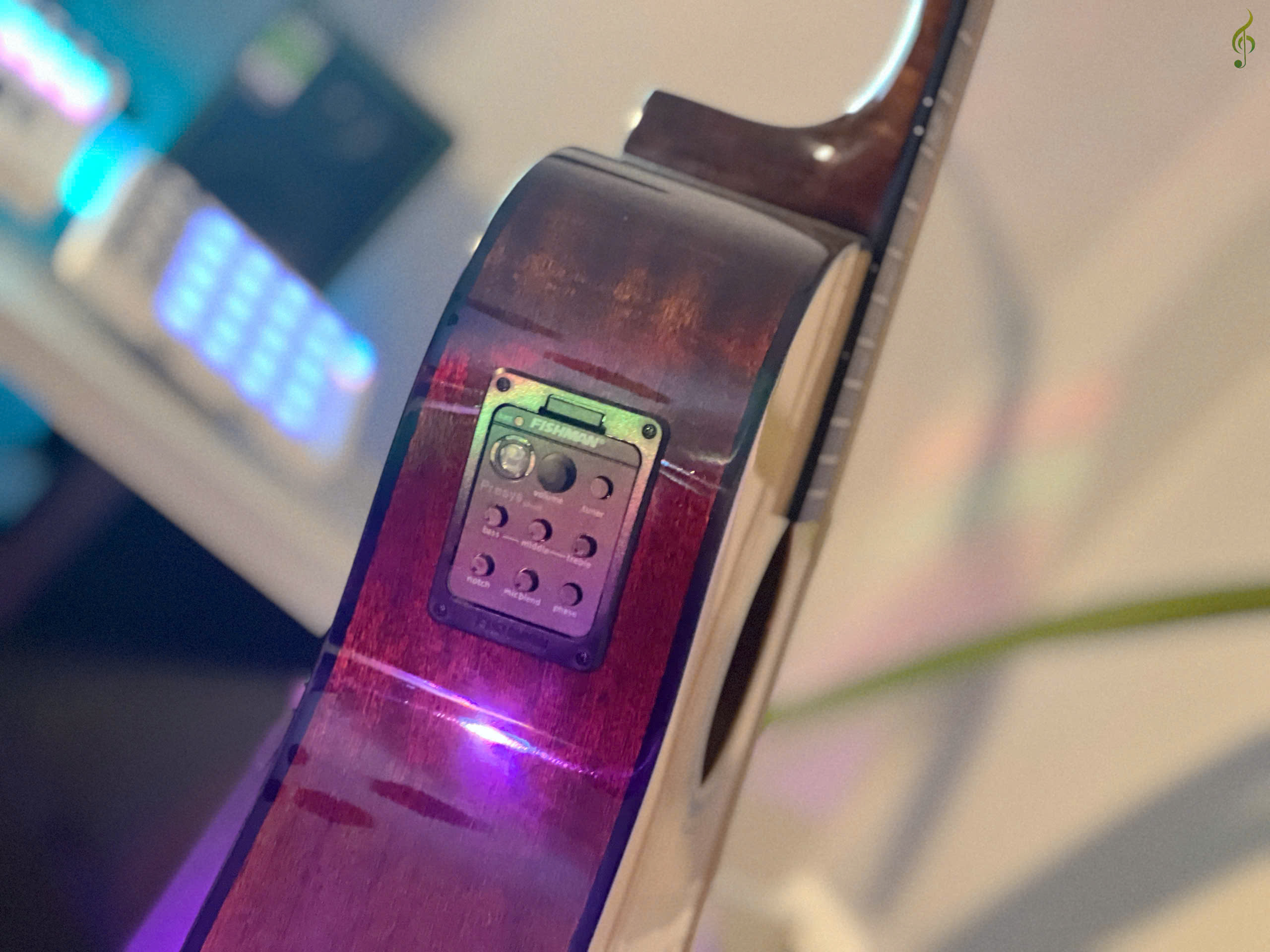 Guitar Dallas chính hãng