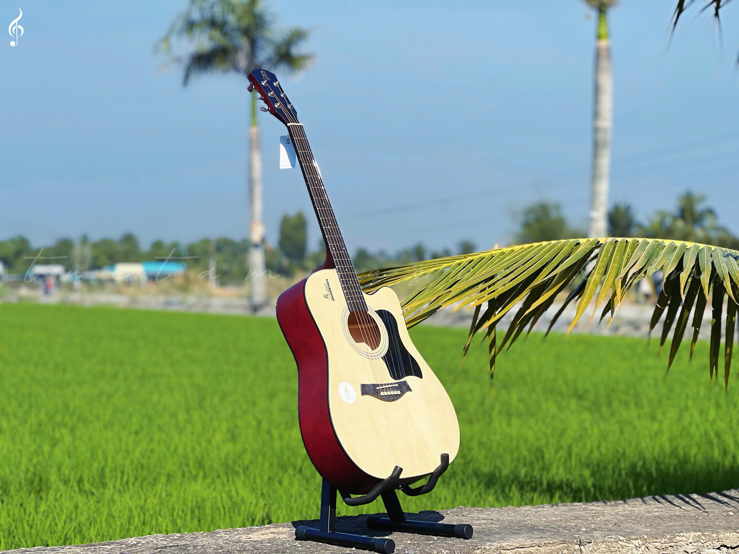 Guitar giá rẻ Long An