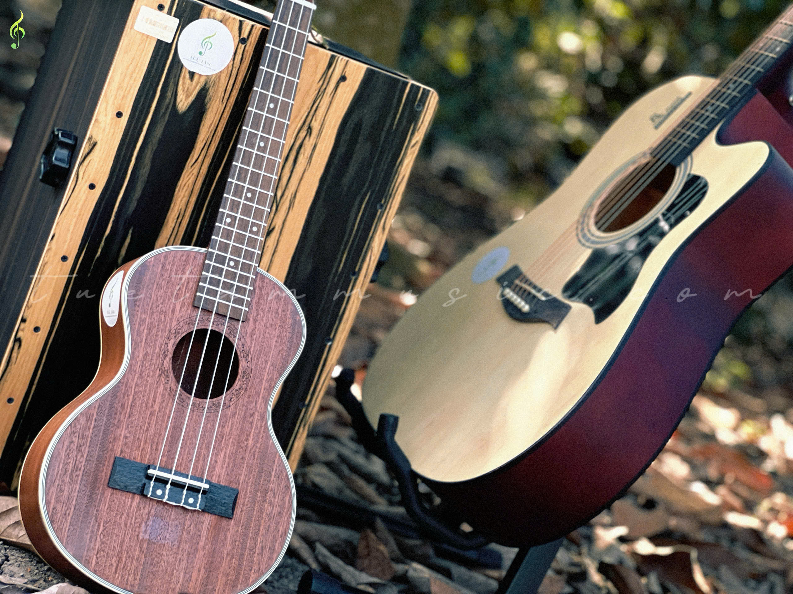 Guitar Acoustic HT-89