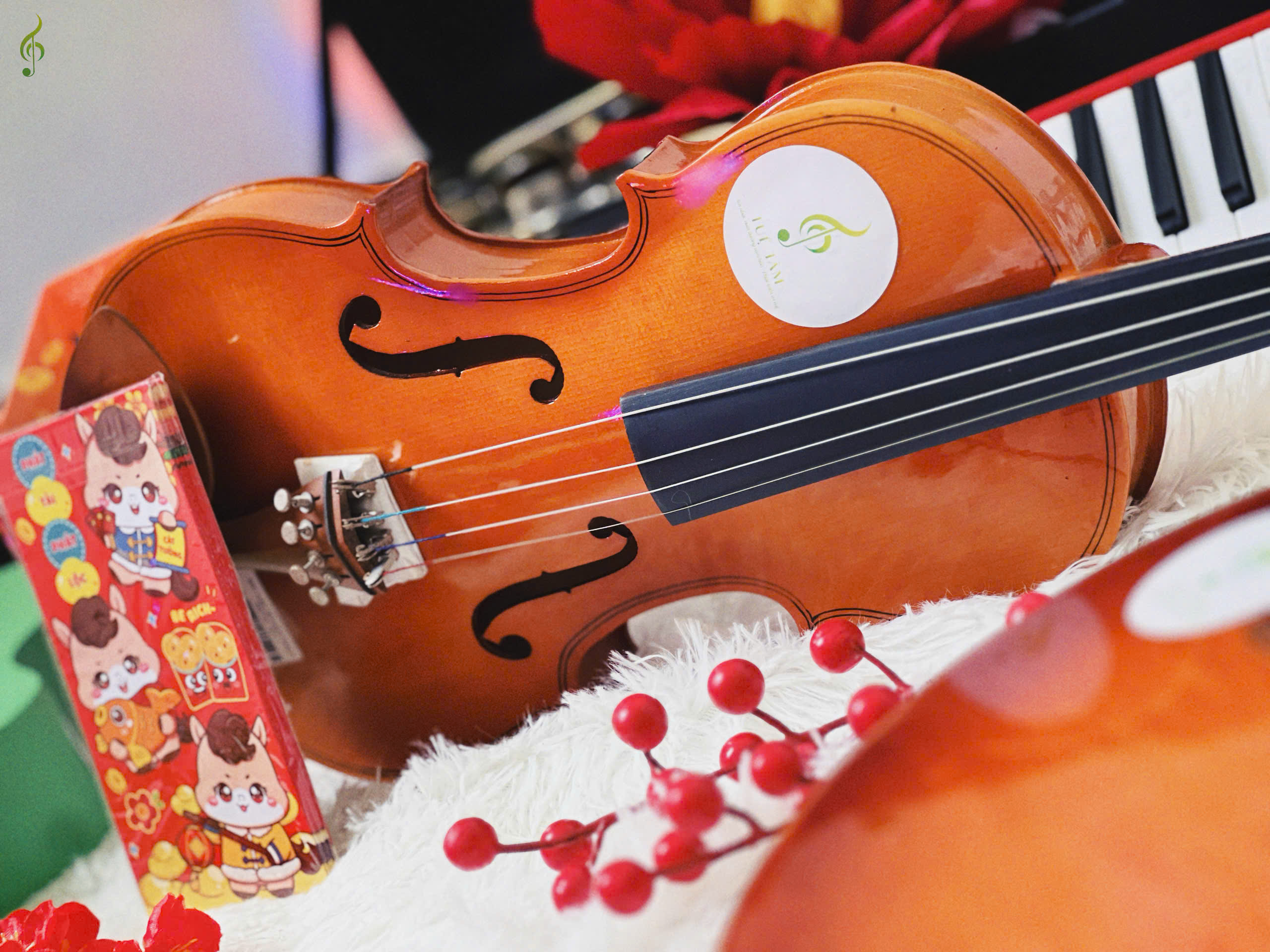 Violin giá rẻ cho người mới bắt đầu