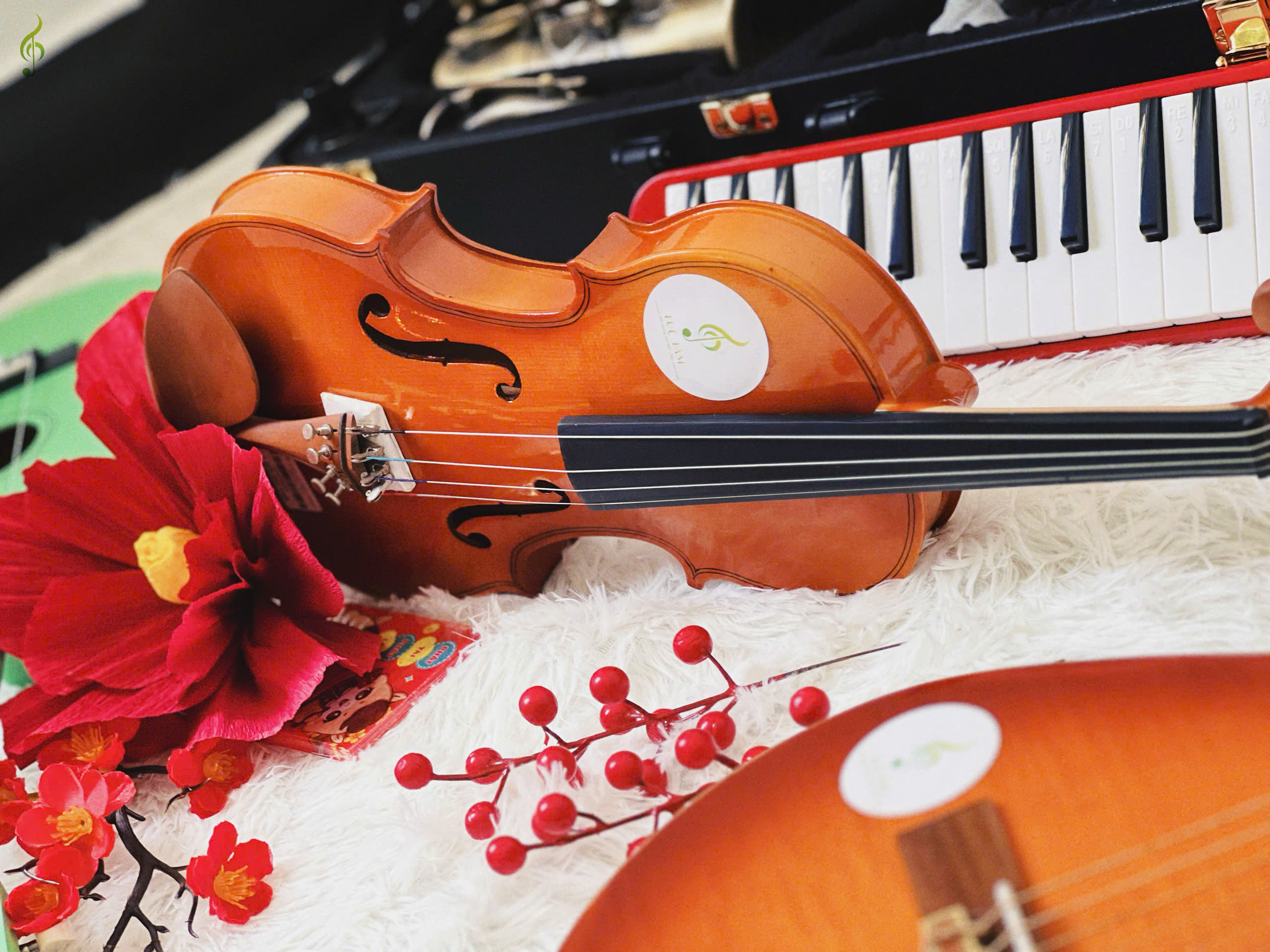 Violin giá rẻ cho người mới bắt đầu