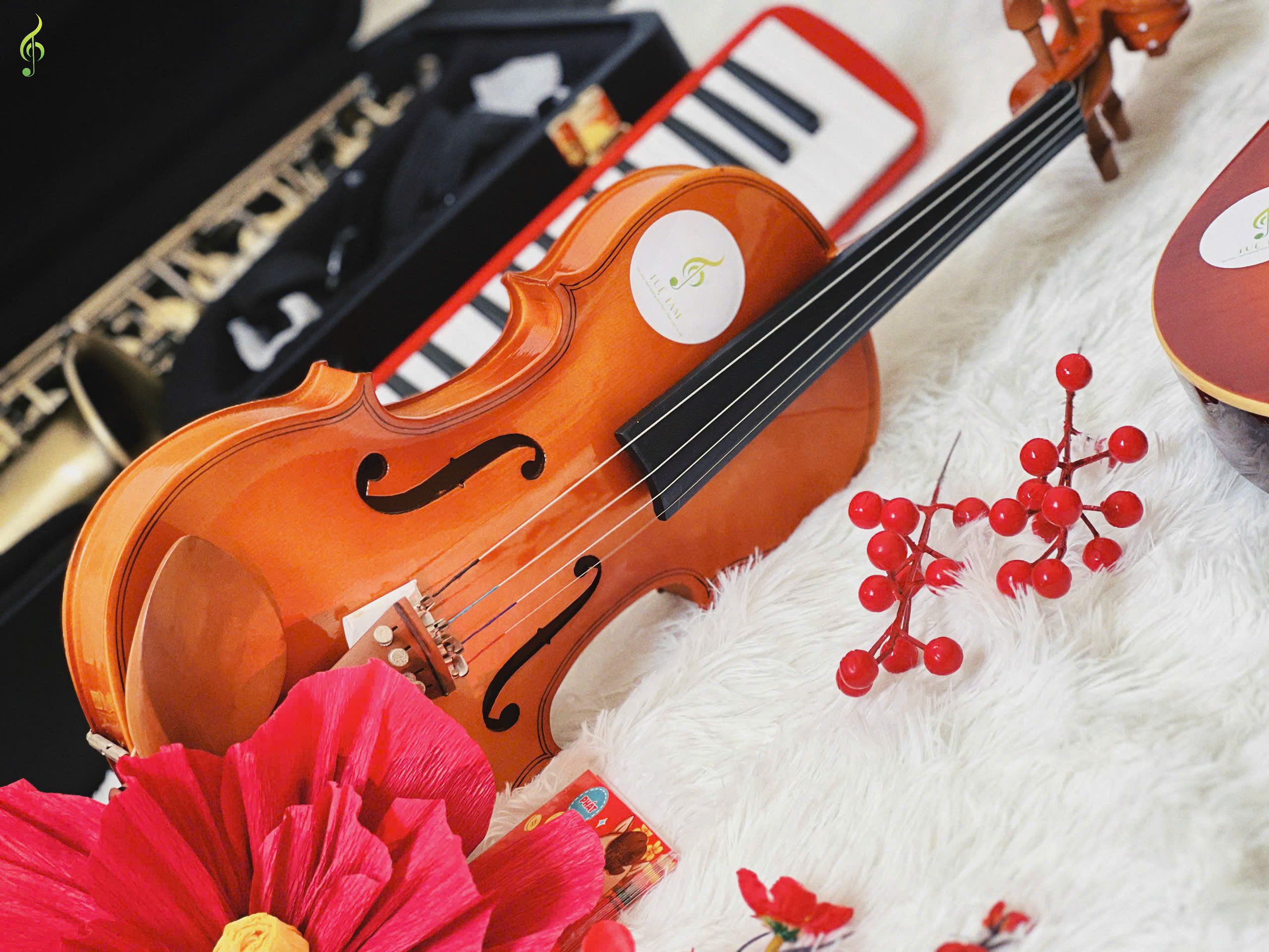 Violin giá rẻ cho người mới bắt đầu