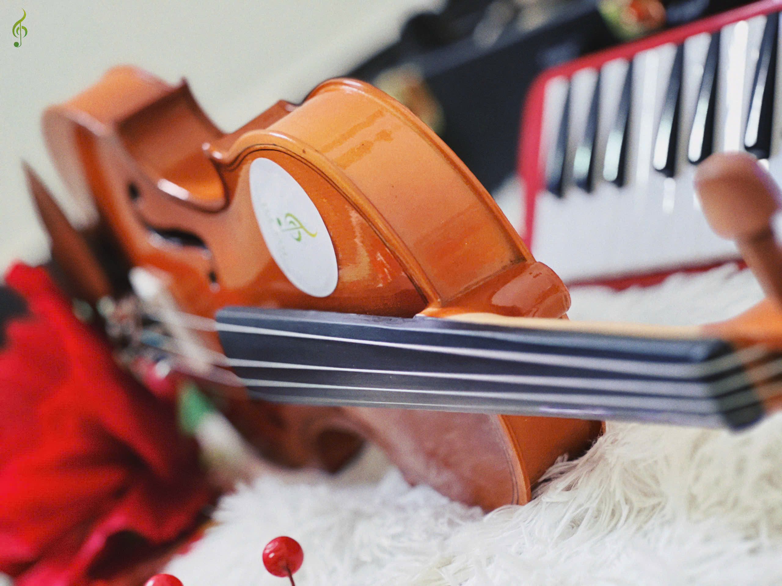 Violin giá rẻ cho người mới bắt đầu