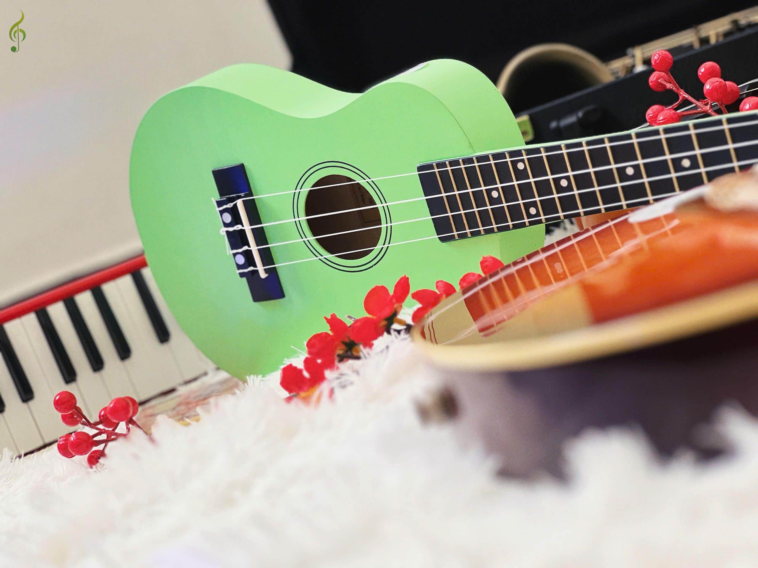 Đàn Ukulele màu sắc cho bé