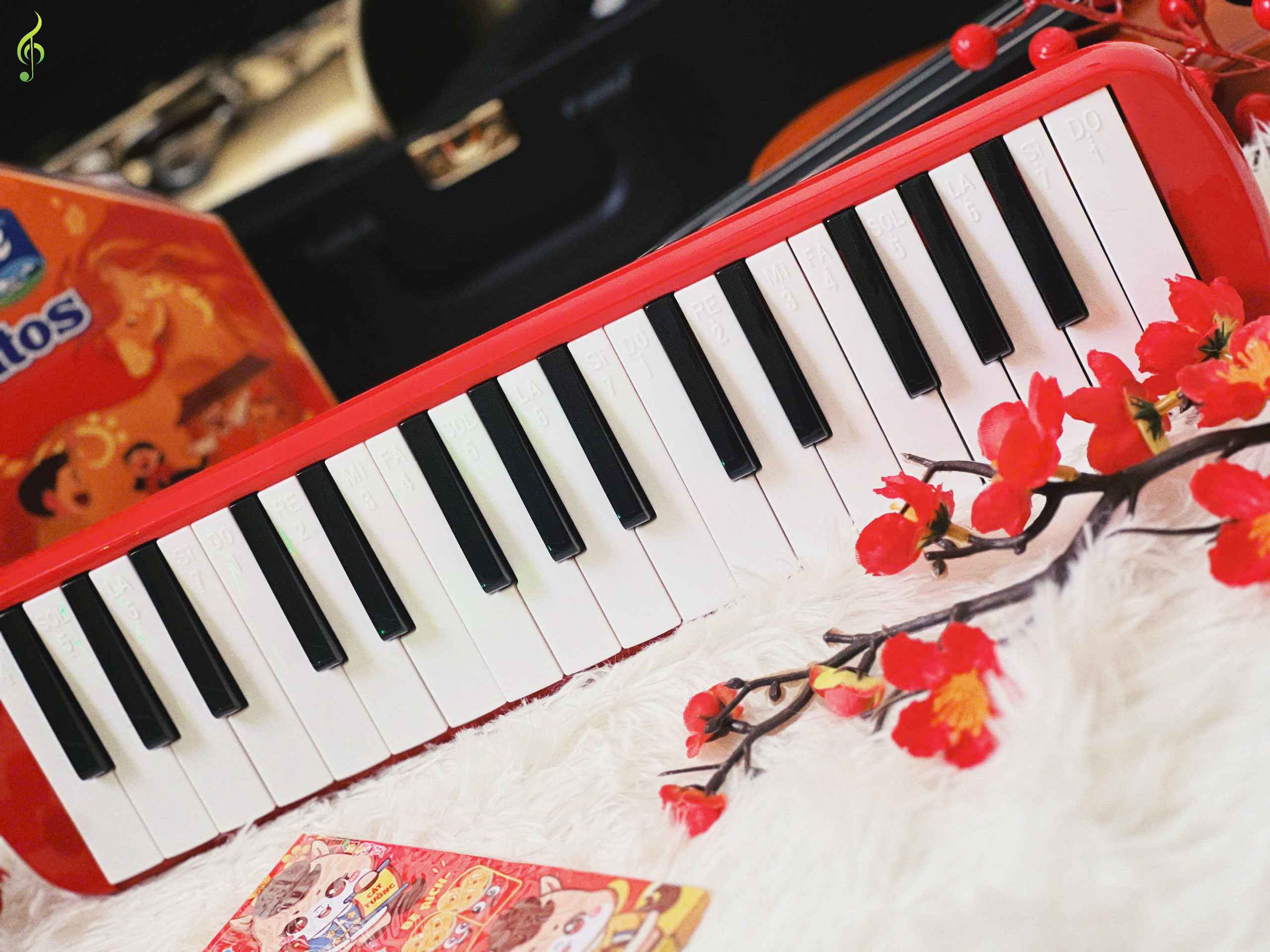 kèn phím melodica giá rẻ