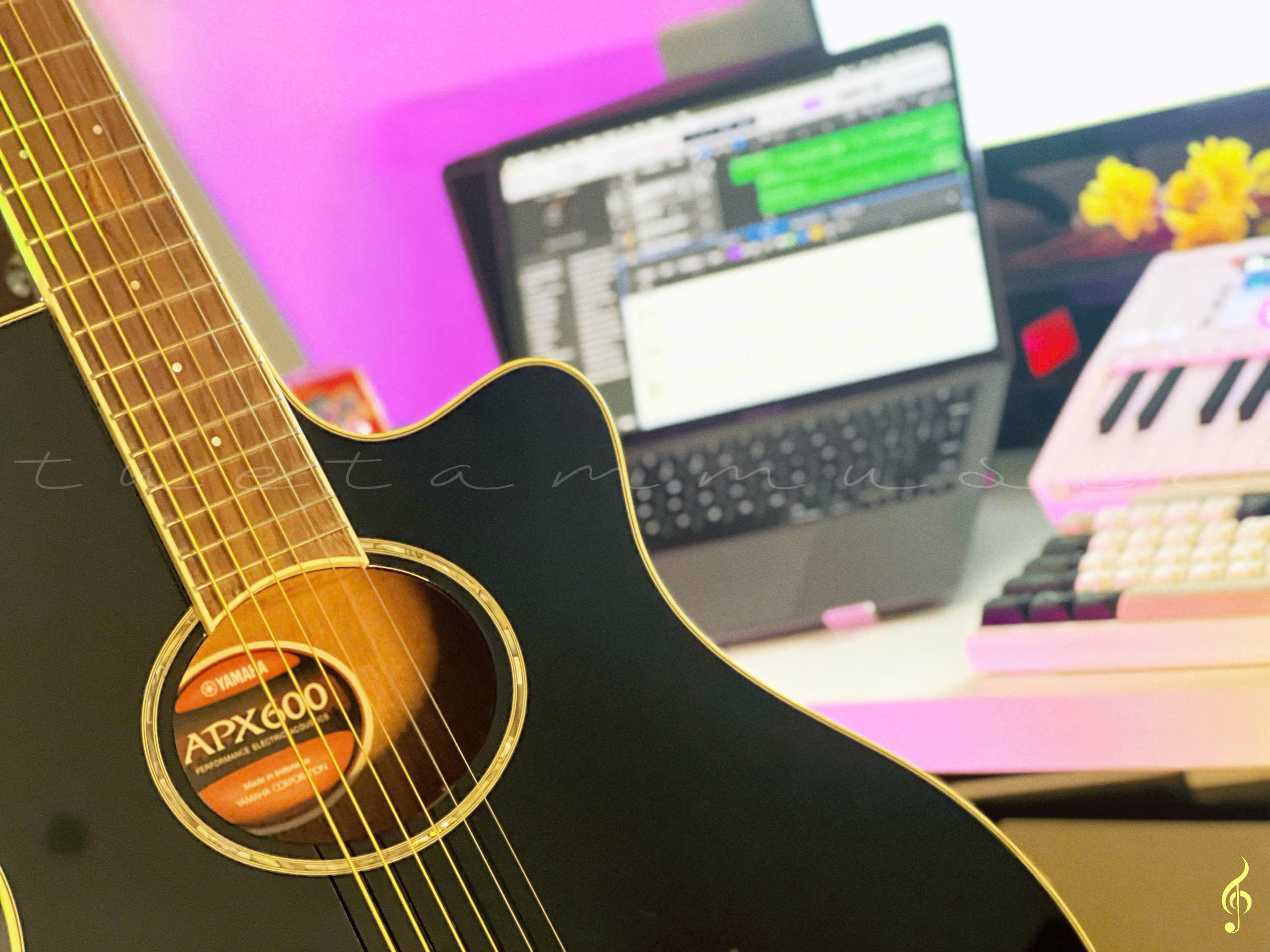 Guitar Yamaha APX600