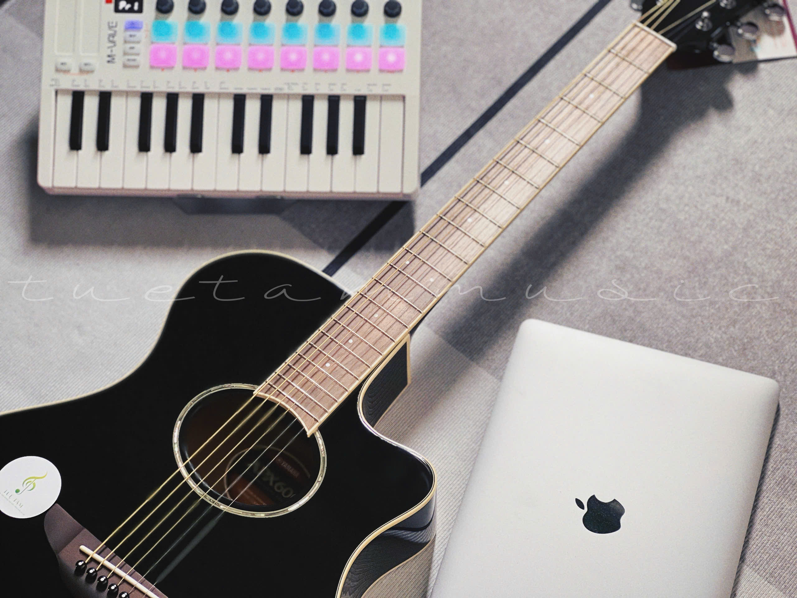 Guitar Yamaha APX600