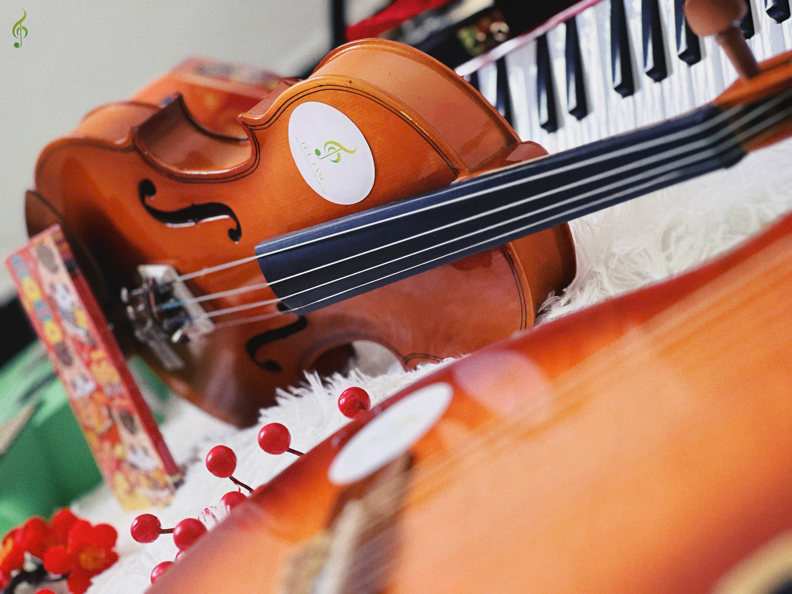 Violin giá rẻ cho người mới bắt đầu