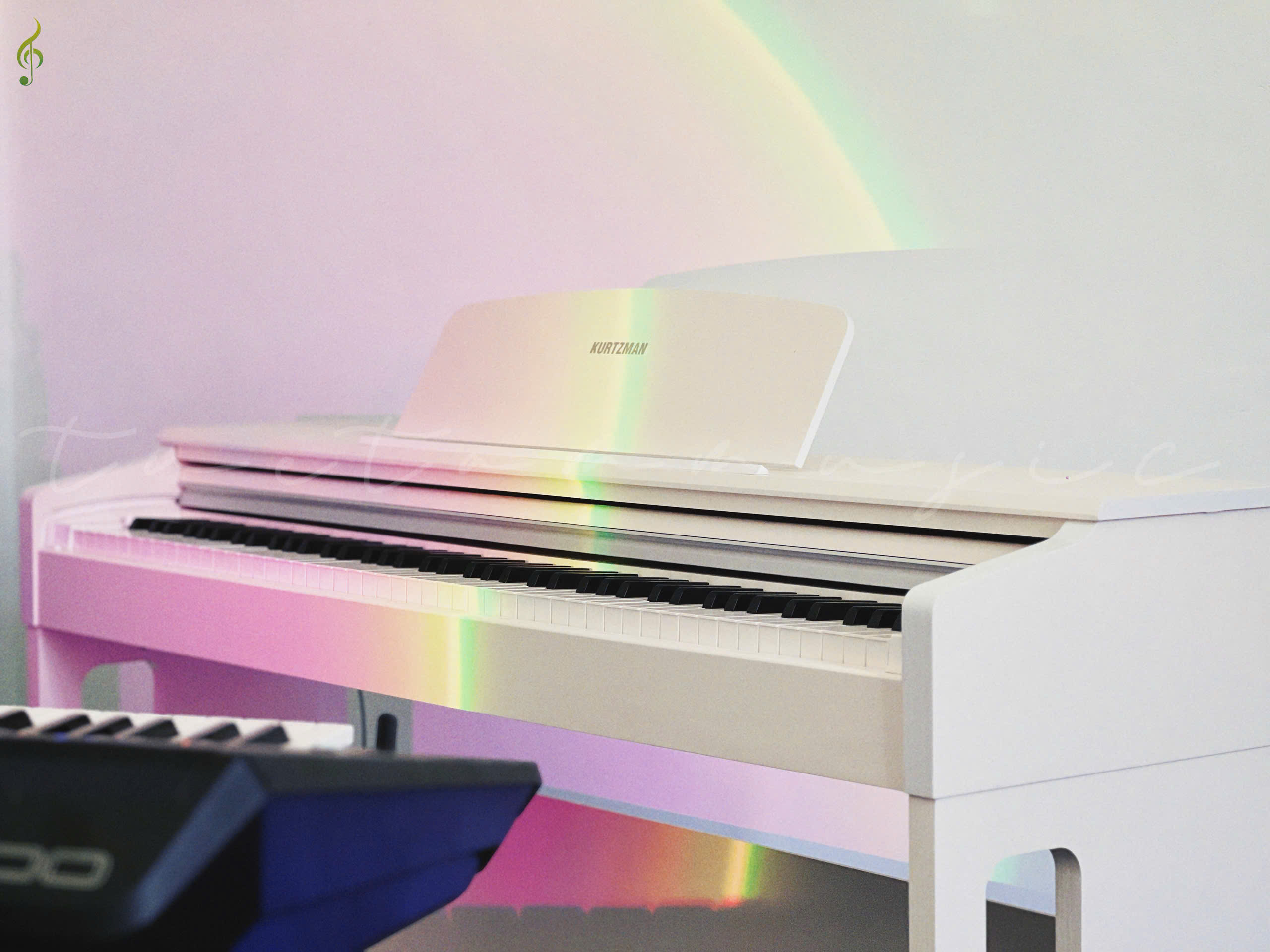 Cửa Hàng Piano Điện Kurtzman KS1 Tại Tây Ninh