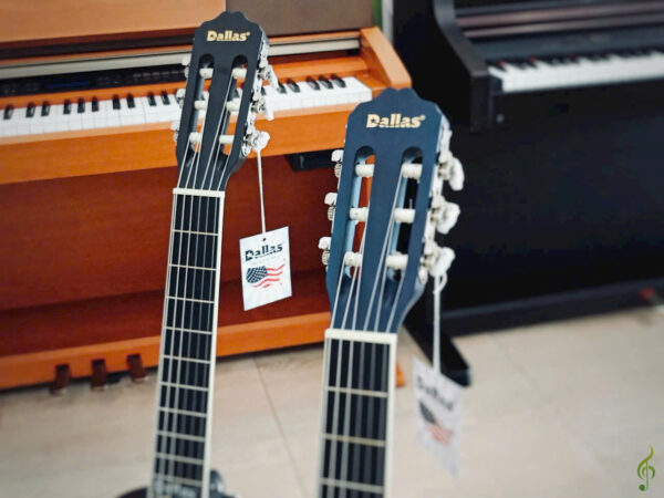 Mua Guitar màu sắc tại Tây Ninh