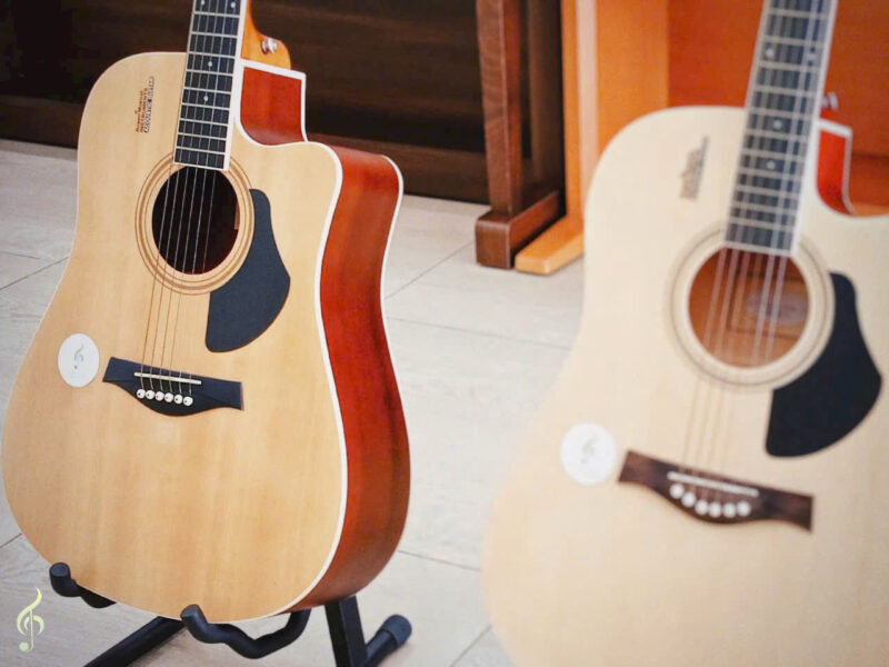 Guitar-rosen-r135 (2)