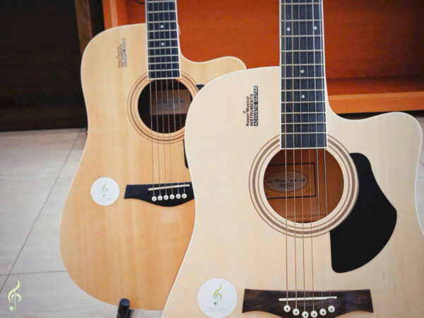 Guitar-rosen-r135 (5)