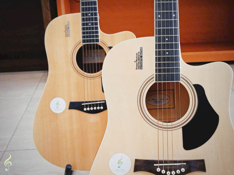 Guitar-rosen-r135 (5)