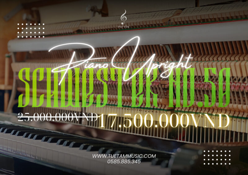 Piano-cơ-gia-re-tay-ninh (1)