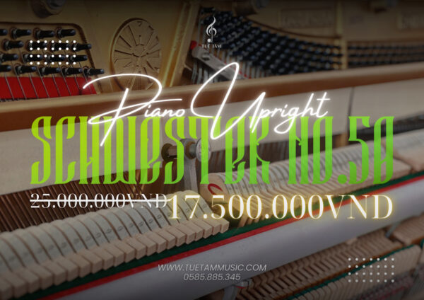 Piano-cơ-gia-re-tay-ninh (4)