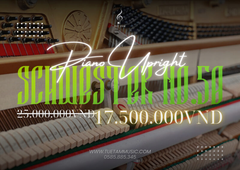 Piano-cơ-gia-re-tay-ninh (4)