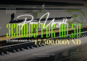 Piano cơ giảm giá mừng đại lễ tại Tây Ninh