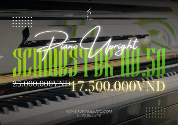 Piano cơ giảm giá mừng đại lễ tại Tây Ninh