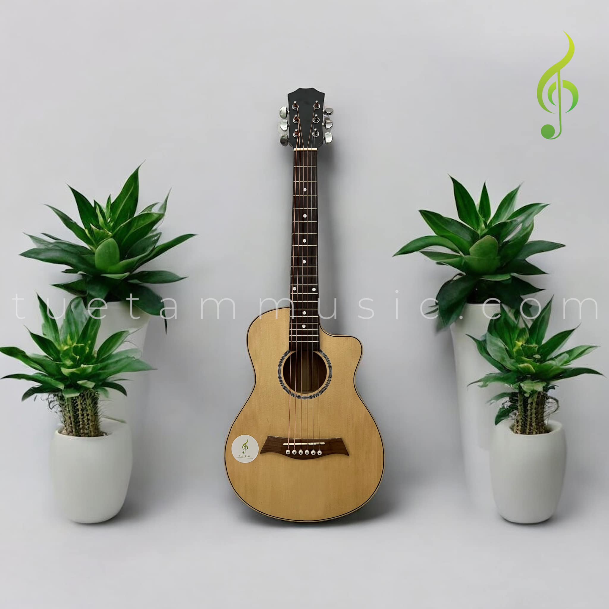 Đàn Guitar Acoustic Việt Nam size 1/2