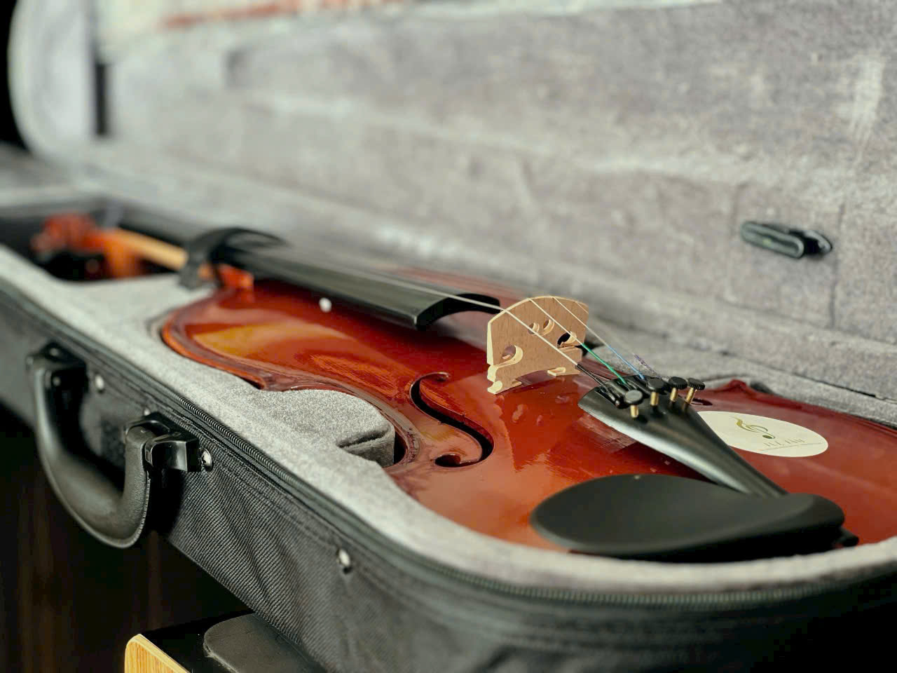 Mua violin giá rẻ tại Long An