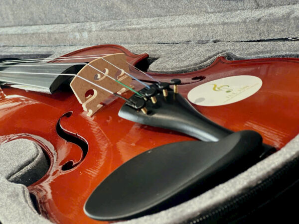 Violin-omebo-rv205 (10)