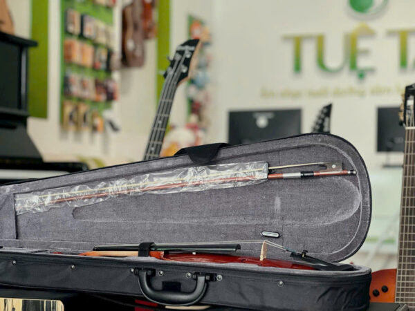 Violin-omebo-rv205 (2)