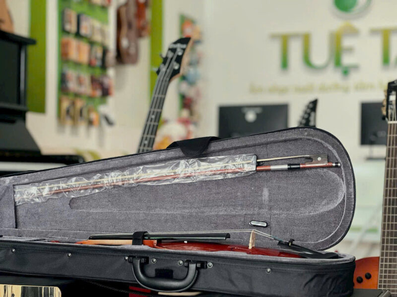 Violin-omebo-rv205 (2)