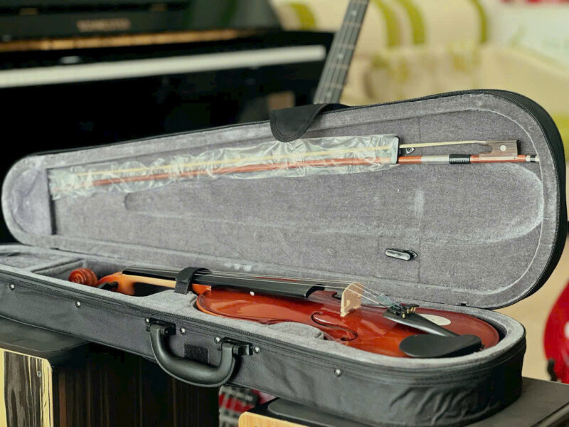 Violin-omebo-rv205 (3)