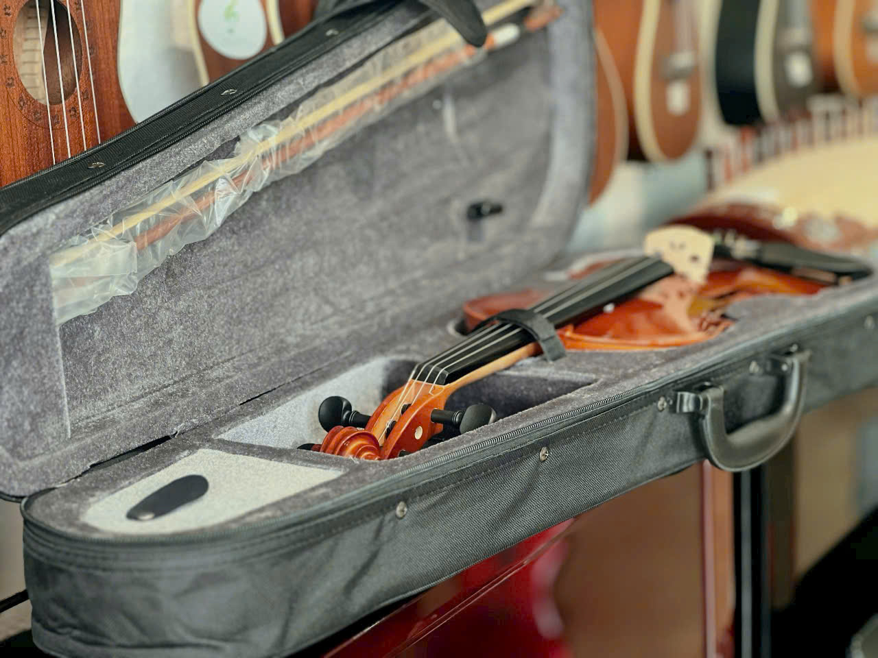 violin cho bé tại Tây Ninh